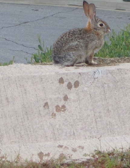 116.jpg