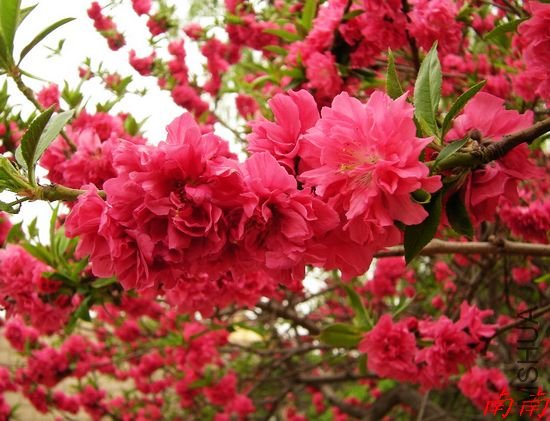 DSCN1289.jpg