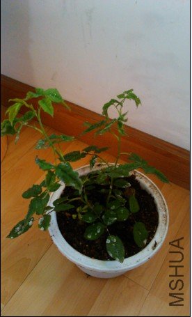  ��ŵ�ղ����� ������