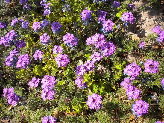 DSCN2153.jpg