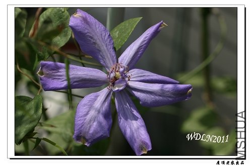 ������������   �����ǵ��꣬���һ��Ͳ��ÿ�