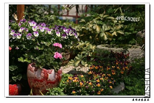 ��԰һ�ǣ����������ÿ�