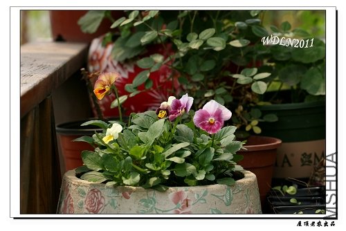 �������һ�԰����Զ������