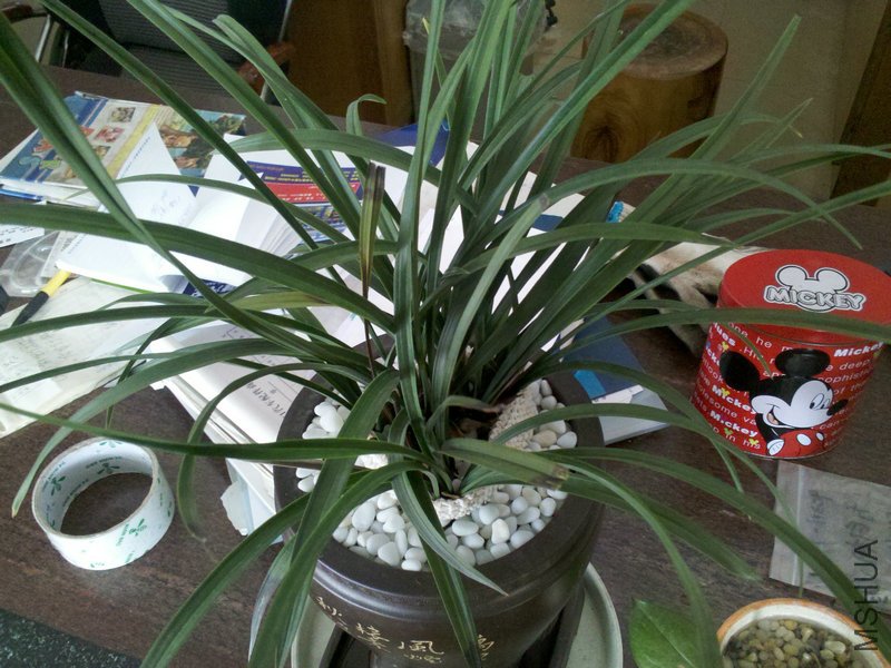 2011-04-25_09-05-12_774_����.jpg