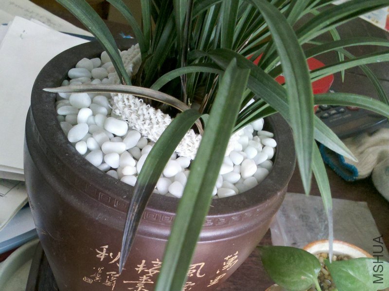2011-04-25_09-05-37_407_����.jpg