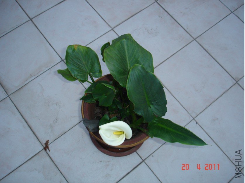 ������20110420 3.JPG