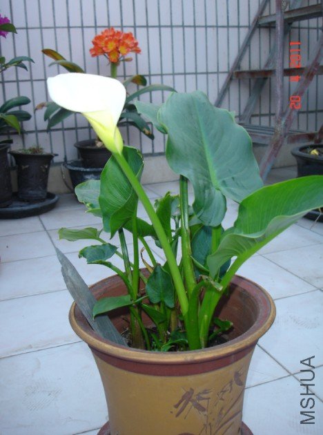 ������20110420 2.JPG