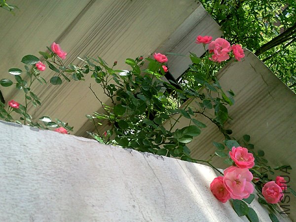 SNC00330+.jpg