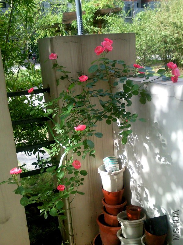 SNC00336+.jpg