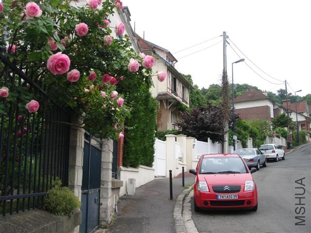 DSC07855.JPG
