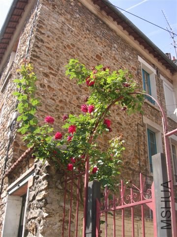 DSC09131.JPG