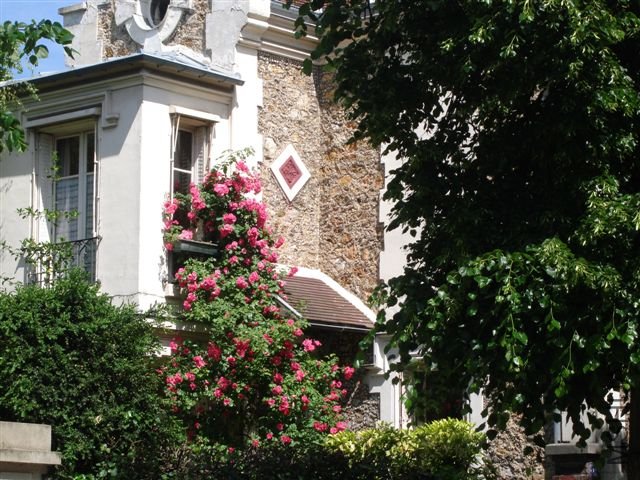 DSC09143.JPG