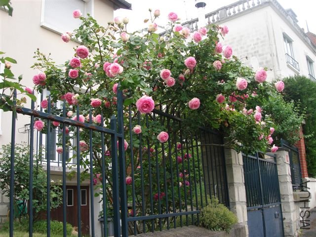 DSC07854.JPG
