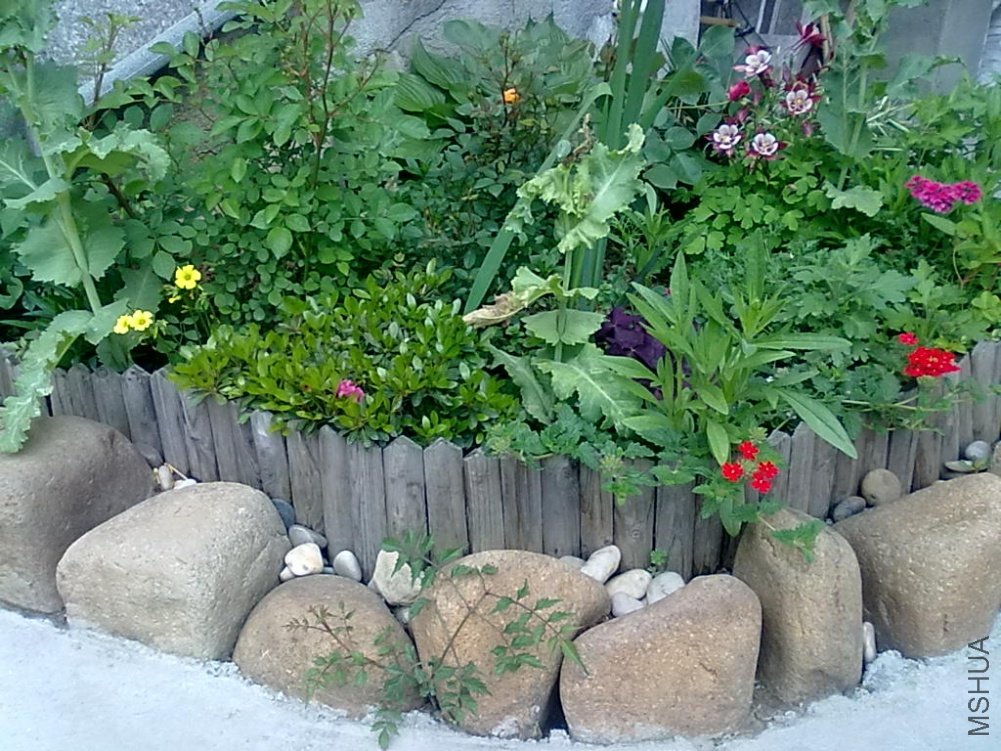 20110427514.jpg