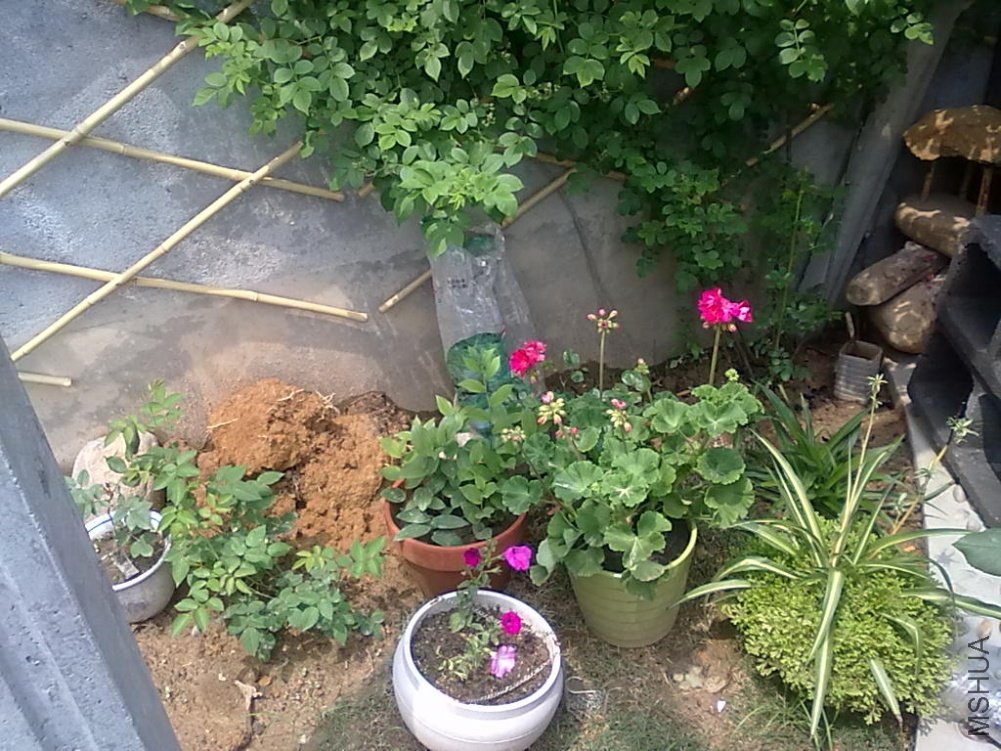 20110427522.jpg
