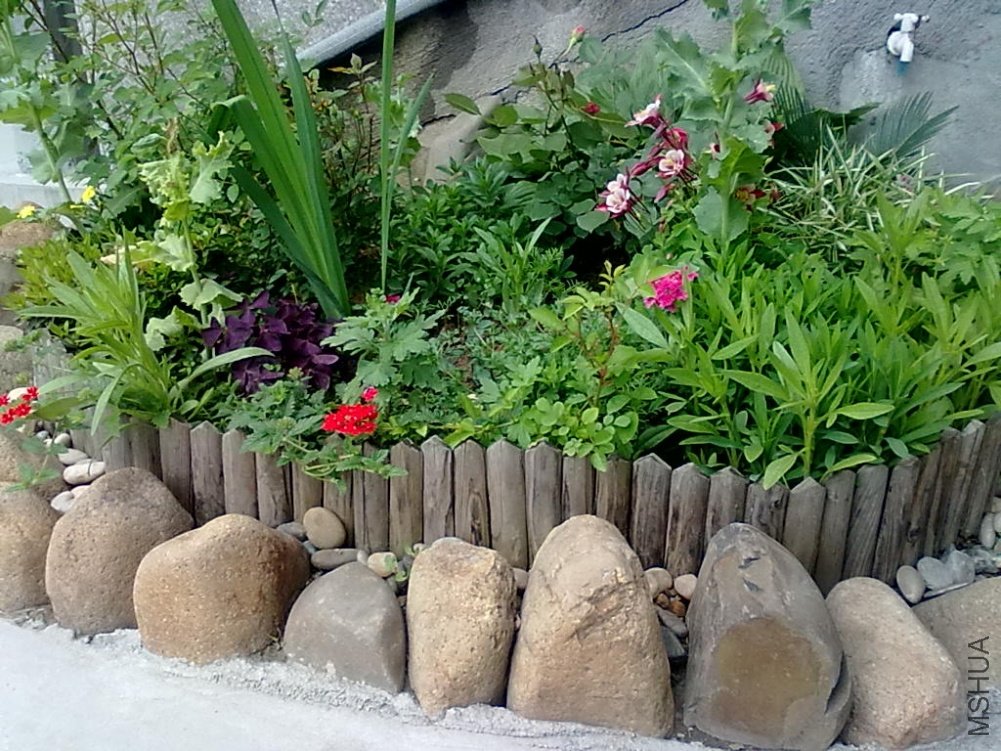 20110427513.jpg