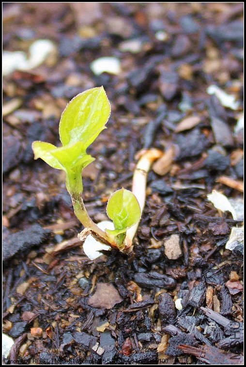 һ����֮�󡣡������磡