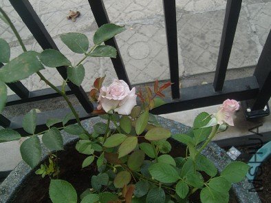 I8S40(9]SM$`Y0_FG$C)AWR.jpg