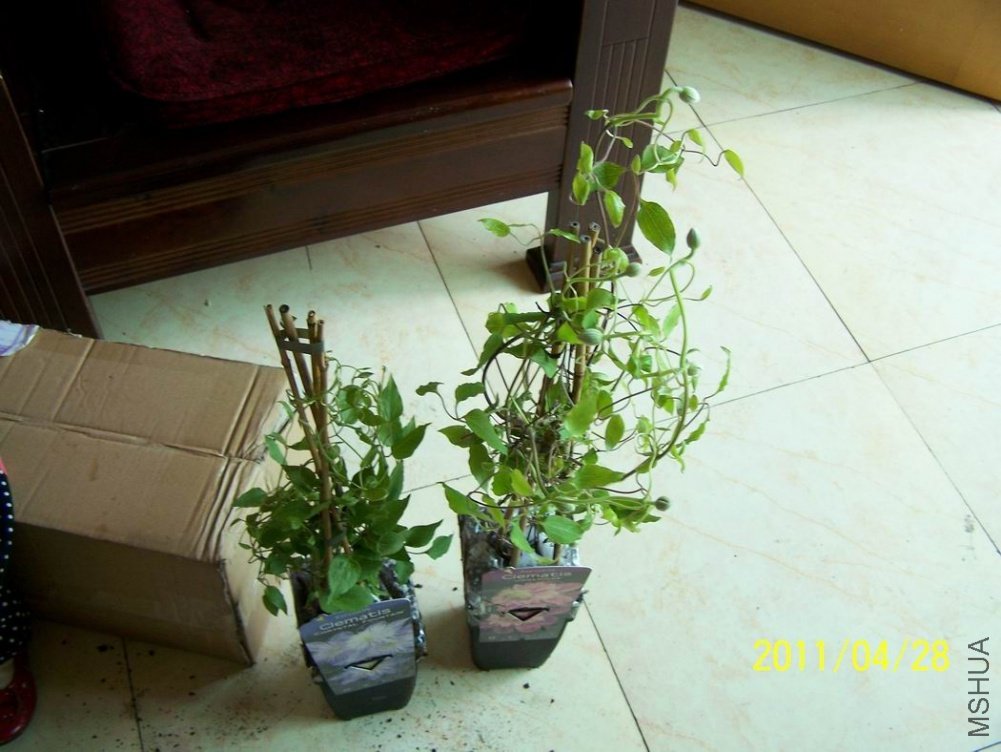 ���������ź���