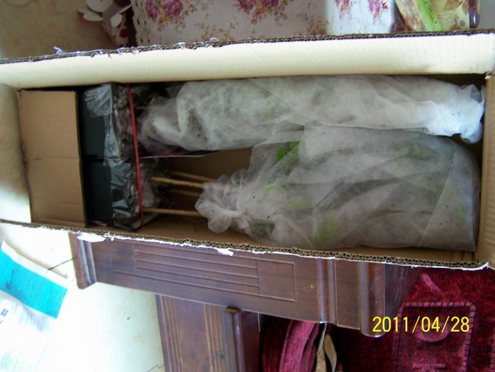 ��~~~���������Ĺ�ľ���������ο�