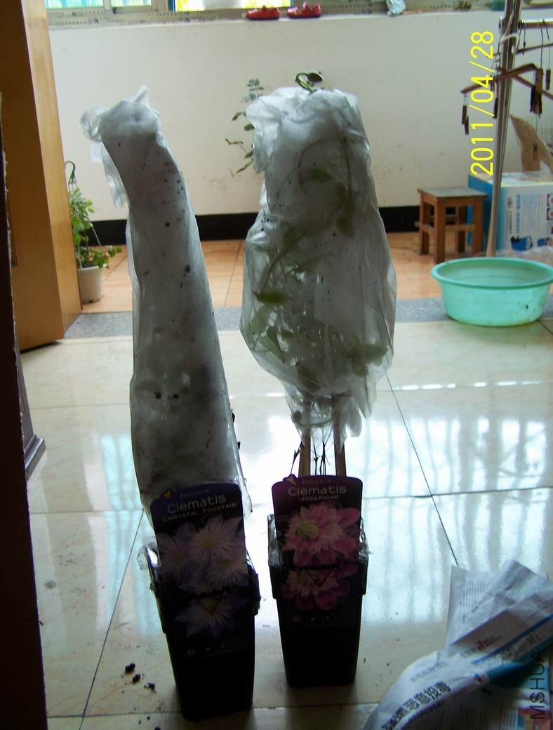 ֻ������������������������������������Ա������