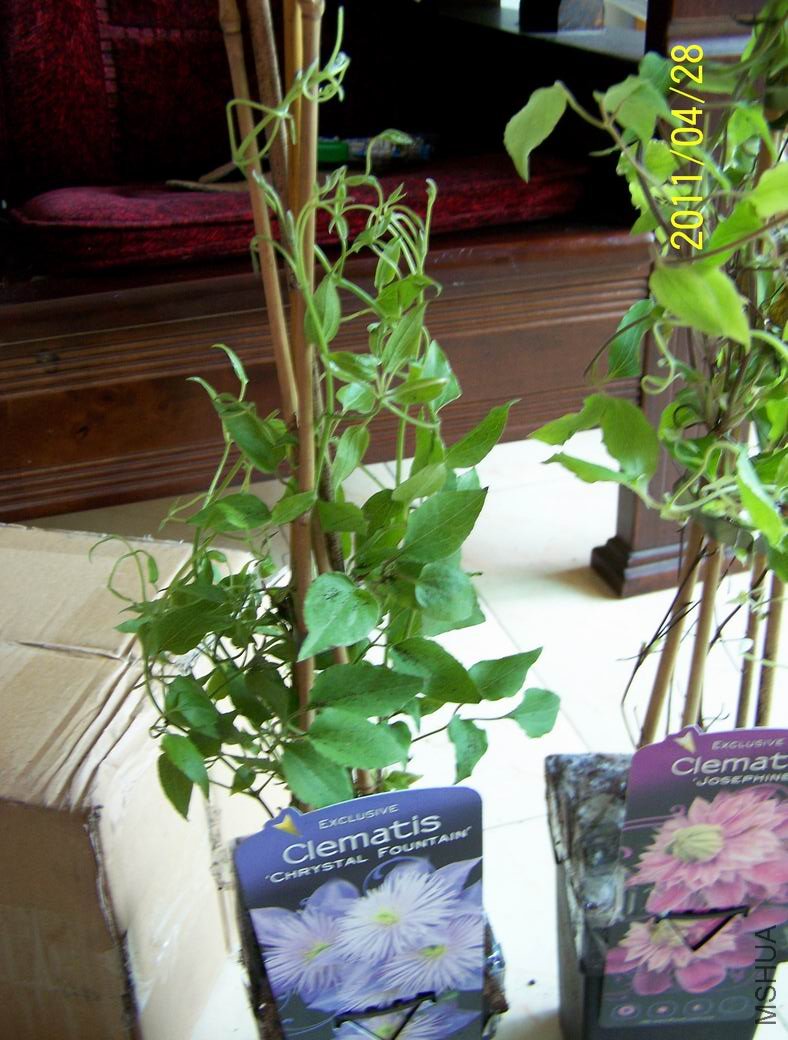 ��ת ������С 100_2671.JPG