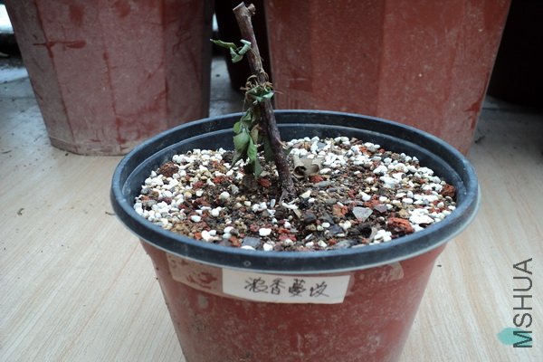 ��Ƭ 216_������С.jpg