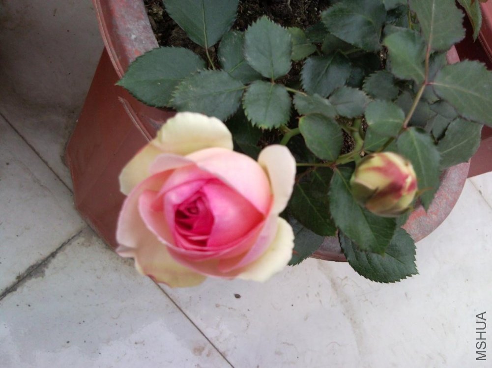 SNC00302.jpg