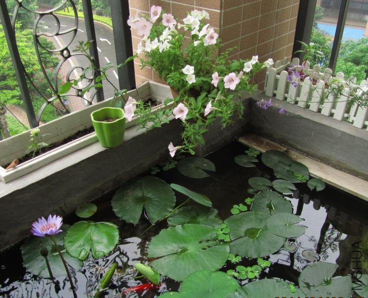 ��Ҷ������Ҷ