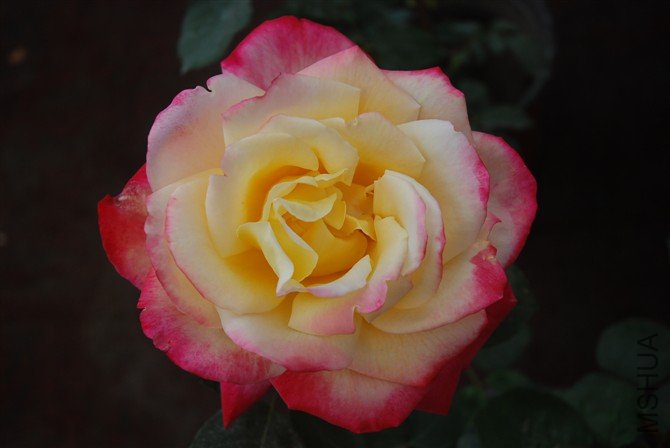 http_imgloadCA0443GR.jpg