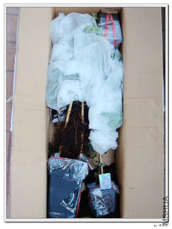 ��װ����ϸ