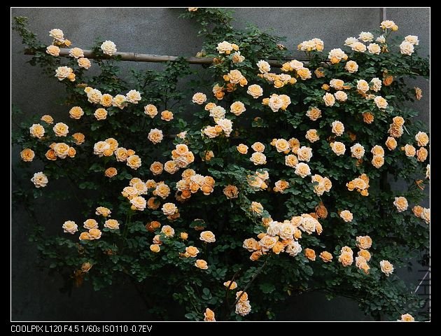 nEO_IMG_���� 069.jpg