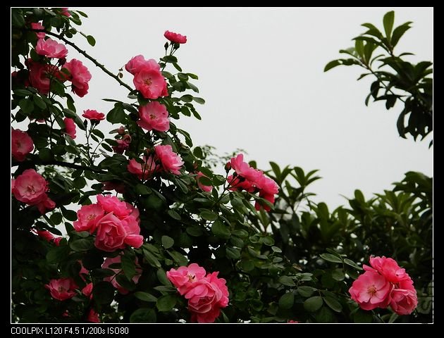 nEO_IMG_���� 198.jpg