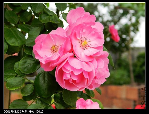 nEO_IMG_���� 196.jpg