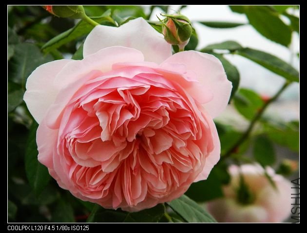 nEO_IMG_���� 008.jpg