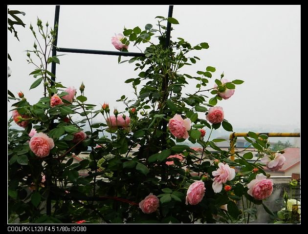 nEO_IMG_���� 013.jpg