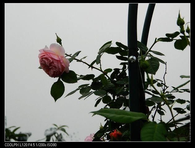 nEO_IMG_���� 019.jpg