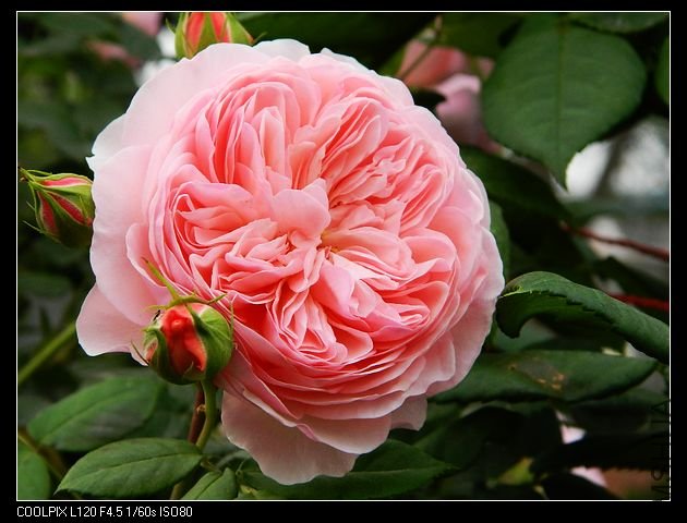 nEO_IMG_���� 018.jpg