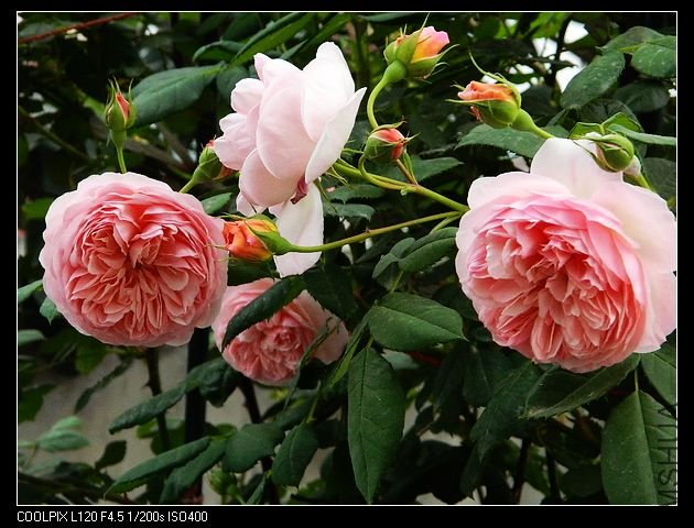 nEO_IMG_���� 031.jpg