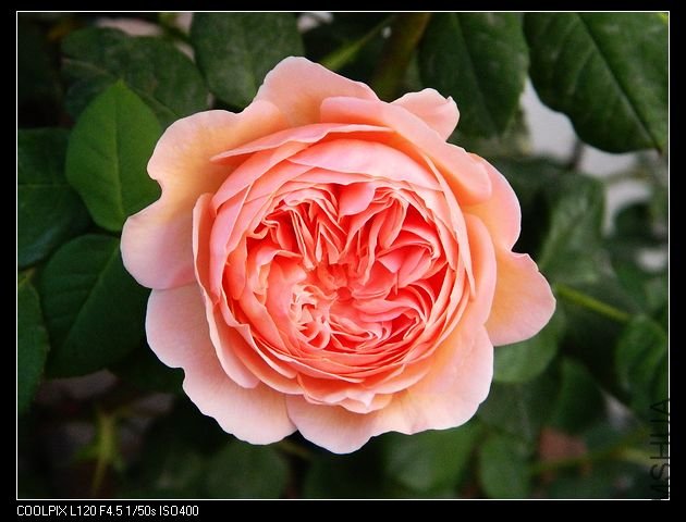 nEO_IMG_���� 134.jpg