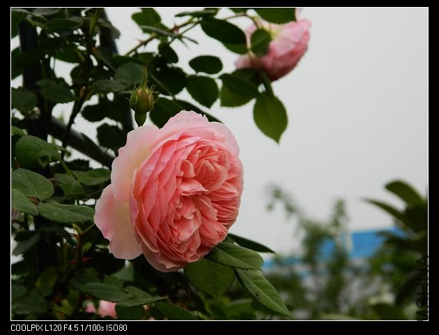 nEO_IMG_���� 038.jpg