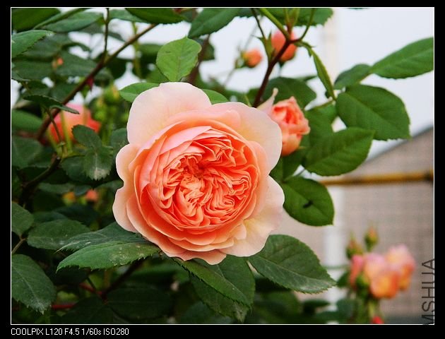 nEO_IMG_���� 132.jpg