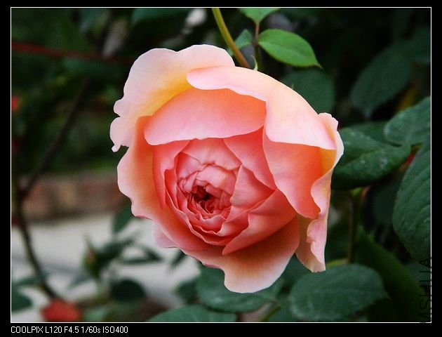 nEO_IMG_���� 135.jpg