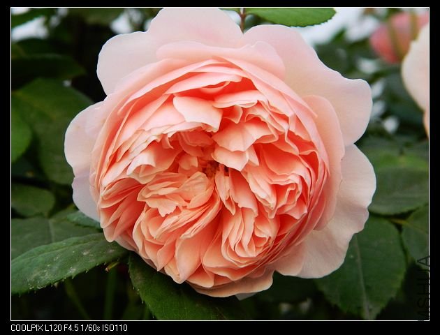 nEO_IMG_���� 167.jpg