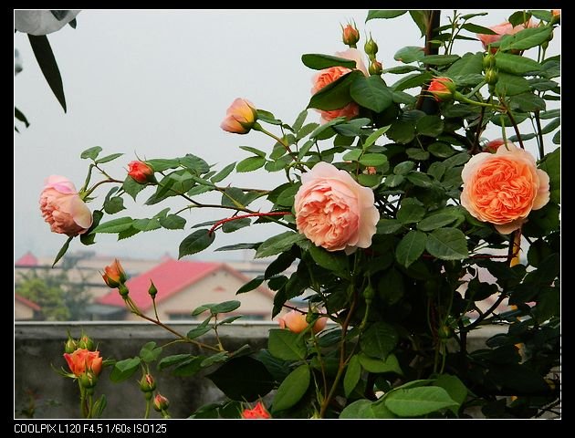 nEO_IMG_���� 162.jpg