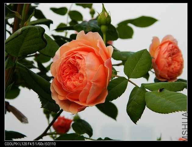 nEO_IMG_���� 160.jpg