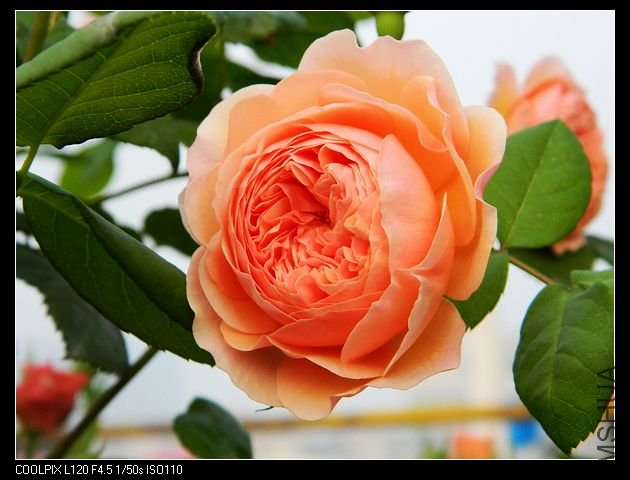 nEO_IMG_���� 170.jpg