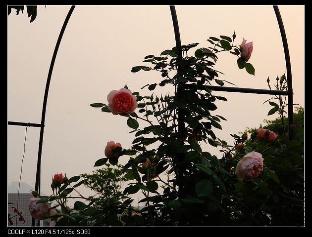 nEO_IMG_���� 178.jpg