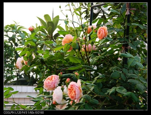 nEO_IMG_���� 188.jpg