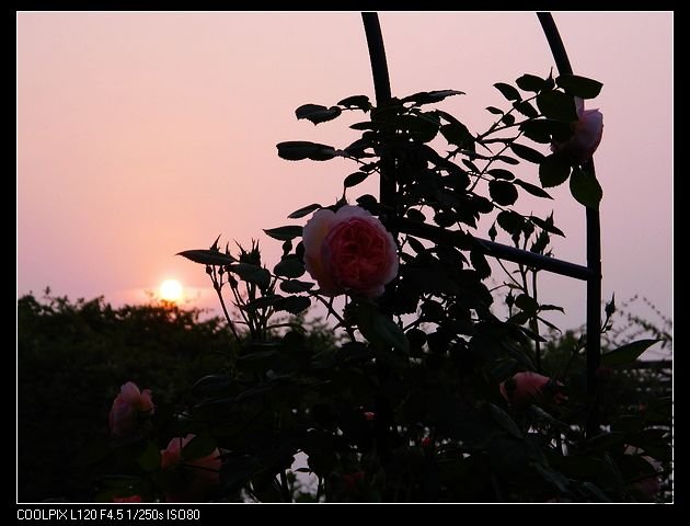 nEO_IMG_���� 173.jpg